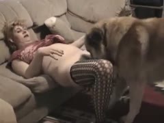 Brown-haired woman with large love bubbles adores having sex with her dog in the living room